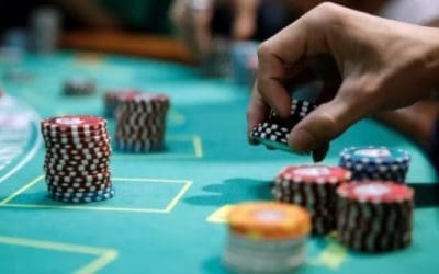 Wellspring Slot Review & Free Demo – High Variance Play with 243 Ways, Wild Multipliers & Bonus Rounds from High 5 Games